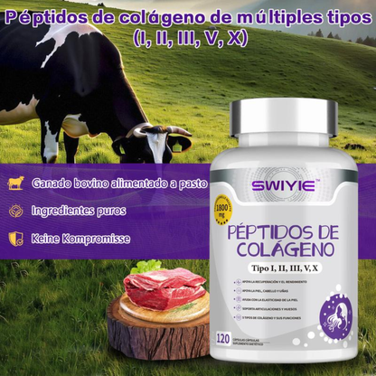 Elúviya® – Colágeno I, II, III, V y X | Más Firmeza, Fuerza y Confianza