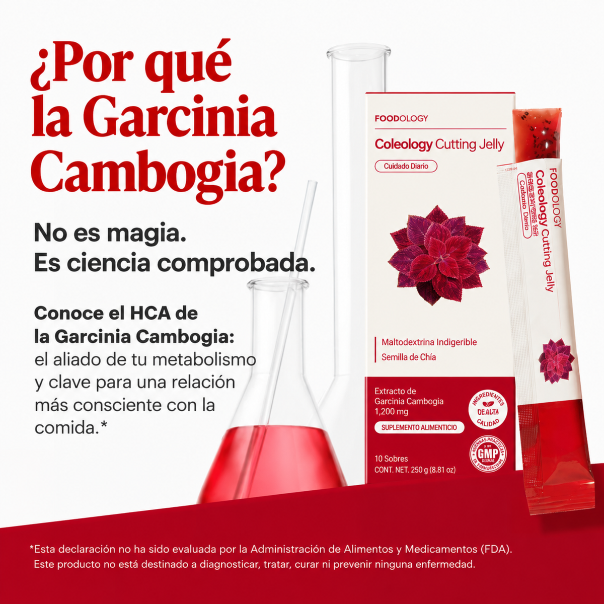 Cutting Jelly | Control de Antojos, Digestión y Apoyo al Adelgazamiento