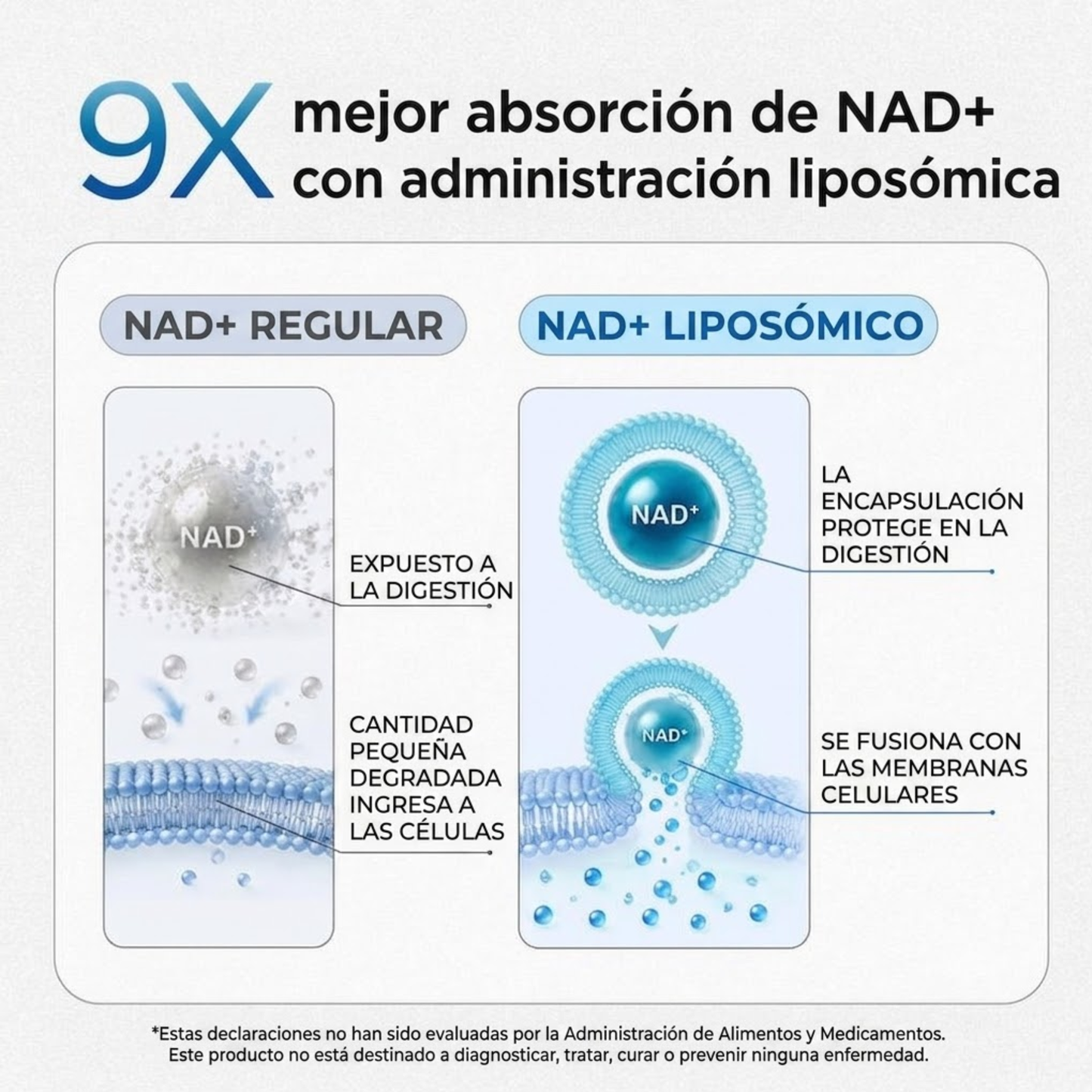 Elúviya® – NAD+ Men’s Complex | Reactiva Tu Energía y Rendimiento Masculino