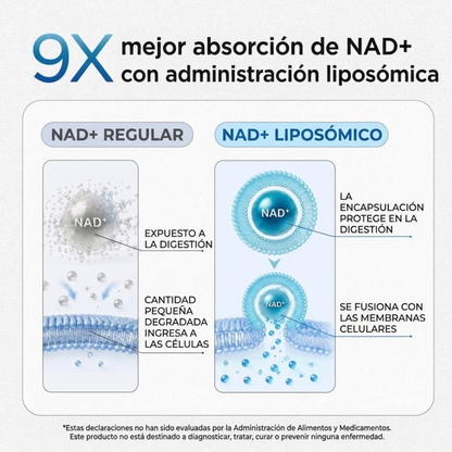 Elúviya® – NAD+ Men’s Complex | Reactiva Tu Energía y Rendimiento Masculino
